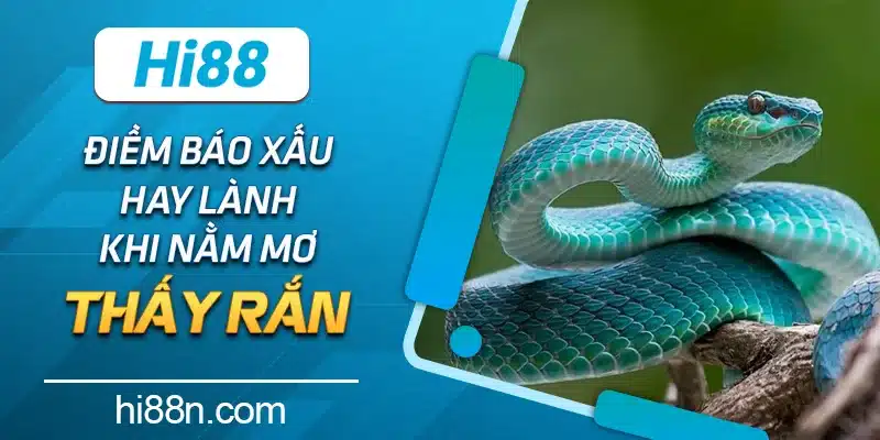 Điềm báo xấu hay lành khi nằm mơ thấy rắn 