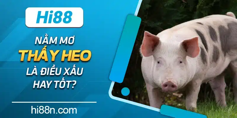 Nằm mơ thấy heo là điều xấu hay tốt?