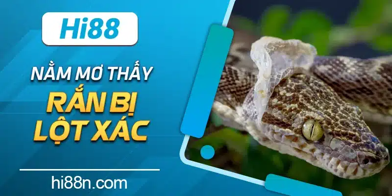 Nằm mơ thấy rắn bị lột xác