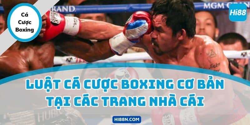 Luật cá cược boxing cơ bản tại các trang nhà cái