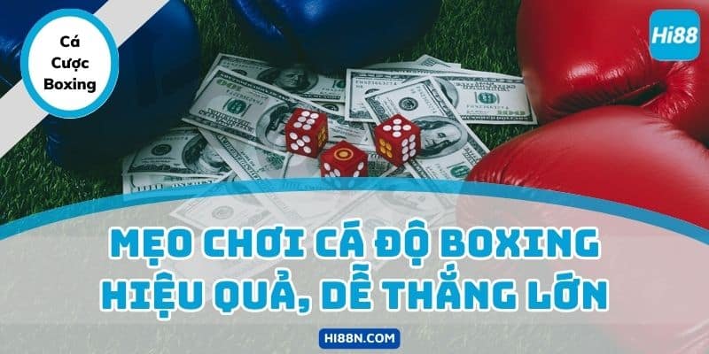 Mẹo chơi cá độ Boxing hiệu quả, dễ thắng lớn