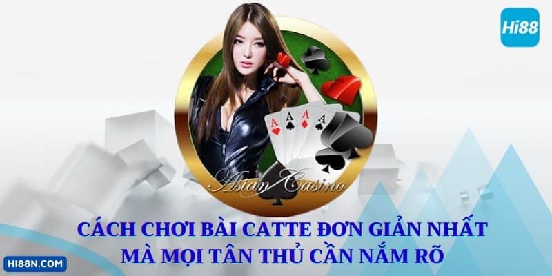 Cách chơi bài Catte đơn giản dành cho tân cược thủ